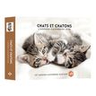 9782755671377-Agenda-Calendrier Chats et Chatons-P_405166313_1-0