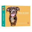9782755667974-Agenda-Calendrier Drôles de chiens-P_405166314_1-0