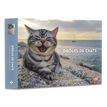 9782755667899-Agenda Calendrier Drôles de chats-P_405166320_1-0