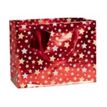 3329682129036-Clairefontaine Christmas - Sac cadeau - 32 cm x 13 cm x 24.5 cm - étoiles-P_405167169_1-0