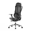 3760185021234-Fauteuil de bureau ERGOSTAR Ultra - accoudoirs réglables - Appui-tête réglable - noir-P_405181438_4-3