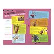 9782809683875-Cahier de vacances 2025 - Les Incollables - CM1/CM2 - livre d'exercices-P_405184127_7-6