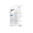 9782036068735-Le dictionnaire Larousse Junior et son dictionnaire en ligne - CE / CM-P_405184149_11-10