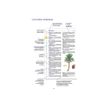 9782036068735-Le dictionnaire Larousse Junior et son dictionnaire en ligne - CE / CM-P_405184149_2-1
