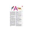 9782036068735-Le dictionnaire Larousse Junior et son dictionnaire en ligne - CE / CM-P_405184149_3-2