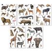 8410782194279-APLI kids - Adhésif décoratif - les animaux de la savane - 5 feuilles - non permanent (p-P_405184292_3-1