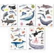 8410782194286-APLI kids - Adhésif décoratif - marine animals - 5 feuilles - non permanent (pack de 50)-P_405184293_3-1