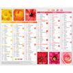 3664447193458-Mini calendrier illustré - 6 mois par face - 13,5 x 17,5 cm - différents modèles disponibles - Obert--3