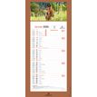 3664447209982-Calendrier mensuel en papier sur plaque illustrée - 16 x 33 cm - différents modèles disponibles - Ob--0