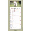 3664447209982-Calendrier mensuel en papier sur plaque illustrée - 16 x 33 cm - différents modèles disponibles - Ob--2