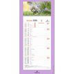 3664447209982-Calendrier mensuel en papier sur plaque illustrée - 16 x 33 cm - différents modèles disponibles - Ob--3