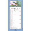 3664447231594-Calendrier mensuel en papier sur plaque illustrée - 16 x 33 cm - différents modèles disponibles - Ob--3