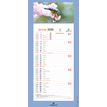 3664447209982-Calendrier mensuel en papier sur plaque illustrée - 16 x 33 cm - différents modèles disponibles - Ob--4