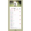3664447231594-Calendrier mensuel en papier sur plaque illustrée - 16 x 33 cm - différents modèles disponibles - Ob--5