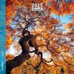 3494150160153-Calendrier mensuel 30x30 cm - 16 mois - Arbres-P_405186506_1-0