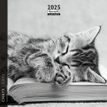 3494150160832-Calendrier mensuel 16x16 cm - 16 mois - Chats N&B-P_405186568_1-0