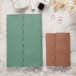 3371010515547-Quo Vadis - Agenda - Affaires - Semainier Planning - Français - Calypso - Vert - 14 mois de décembre à janvier - 10x15 cm - Papier Clairefontaine blanc - Fabri--3