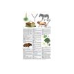 9782036076570-Petit Larousse illustré 2026-P_405188735_17-16