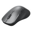 195892054498-Lenovo Professional - Souris sans fil - 6 boutons - gris -P_405189124_2-1