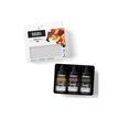 0887452002970-Liquitex Professional - Jeu d'encre - peinture acrylique - liguide - 3 couleurs - transpar-P_405201499_5-5