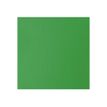 0094376974812-Liquitex Basics - Peinture - peinture acrylique - vert clair permanent - opaque - satin - -P_405202072_3-2