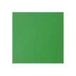 0887452031666-Liquitex Basics - Peinture - peinture acrylique - vert clair permanent - opaque - satin - -P_405202102_3-2