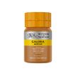 0094376914313-Winsor & Newton Galeria - Peinture - peinture acrylique - terre de Sienne naturelle - tran-P_405202722_1-0