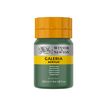 0094376987157-Winsor & Newton Galeria - Peinture - peinture acrylique - vert de Hooker - semi-opaque - 2-P_405202729_2-0
