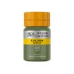 0094376971927-Winsor & Newton Galeria - Peinture - peinture acrylique - vert olive - semi-transparent - -P_405202733_2-0