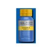 0094376914467-Winsor & Newton Galeria - Peinture - peinture acrylique - teinte bleue céruléen - opaque-P_405202762_1-1
