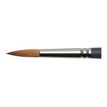 0884955075159-Winsor & Newton Professional Watercolour - Pinceau - rond - taille : 10 - 6.3 x 27 mm-P_405202966_1-0