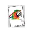 404052165531-Aurora Art & Craft Steinbach - Feuille volante de papier à dessin - 550 x 730 mm - 100 pag-P_405216553_1-0