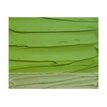 3013643017844-Lefranc Bourgeois - Peinture à l'huile - jaune vert - semi-opaque - fine - 40 ml-P_405216762_1-1