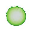 5411711460499-Cernit Auxiliary - Encre - à base d'alcool - vert prairie - transparent - 20 ml-P_405217118_3-2