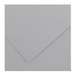 3148950400727-CANSON Iris Vivaldi - Papier Dessin Couleur - Lisse - 120 g/m² - Feuille - 50x65cm - Gris Clair--0
