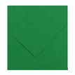 3148950400291-CANSON Iris Vivaldi - Papier Dessin Couleur - Lisse - 120 g/m² - Feuille - A4-21x29,7cm,Vert Mousse--0