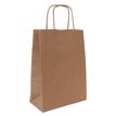 3700030058596-Sac kraft poignées torsadées Jungle vert -  18 x 8 x 24 cm-P_405221672_1-0