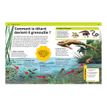 9782095041458-Livre La grande encyclopédie illustrée dès 7 ans-P_405225247_5-7