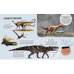 9782095034948-Livre Questions Réponses Tous les dinosaures-P_405225249_2-1