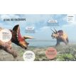 9782095034948-Livre Questions Réponses Tous les dinosaures-P_405225249_4-3