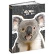 3661507015286-Agenda rembordé Funny Animals - 1 jour par page - 12x17 cm - 3 décors assortis - Kid'Abord--0