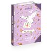 3661507555188-Agenda HARRY POTTER HEDWIG 12 x 17 cm - 2 modèles au choix - Kid'Abord-P_405226075_1-0