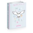 3661507555188-Agenda HARRY POTTER HEDWIG 12 x 17 cm - 2 modèles au choix - Kid'Abord-P_405226075_2-1