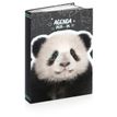 3661507015286-Agenda ANIMAUX FUNNY- 12 x 17 cm - 2 modèles au choix - Kid'Abord-P_405226134_2-1