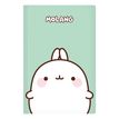 3135252844410-Carnet de notes Molang - 128 pages - A5 - Viquel-P_405226419_2-1