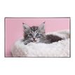 3135251384702-Sous-main Animaux Chaton + Chiot - 59,5 x 36,2 cm - Assortis - Viquel-P_405226459_2-1