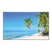 3135250997170-Sous-main Plage - 59,5 x 36,2 cm - Viquel-P_405226463_1-0