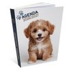 3592930027747-Agenda Chien - 1 jour par page - 12 x 17 cm - Bouchut--0