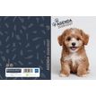 3592930027747-Agenda Chien - 1 jour par page - 12 x 17 cm - Bouchut--1