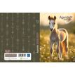 3592930027754-Agenda Cheval - 1 jour par page - 12 x 17 cm - Bouchut--1